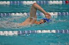 Swim vs Bentley  Wheaton College Swimming & Diving vs Bentley University. - Photo by Keith Nordstrom : Wheaton, Swimming & Diving